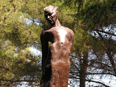 Cliquer pour voir l'image en taille réelle