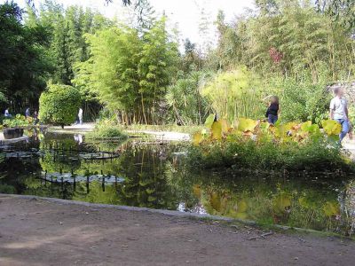 Cliquer pour voir l'image en taille réelle
