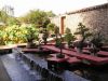 Bambou_(30).jpg