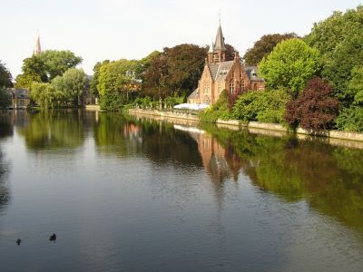 Cliquer pour voir l'image en taille réelle