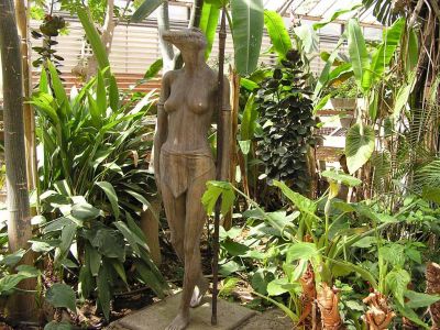 Cliquer pour voir l'image en taille réelle
