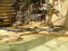 Ferme_Croco_05.jpg