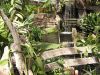 -La ferme aux crocodiles (2005)-
