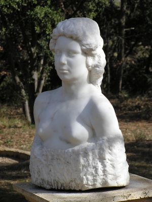 Cliquer pour voir l'image en taille réelle