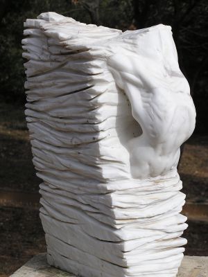 Cliquer pour voir l'image en taille réelle