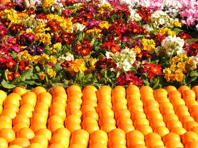Cliquer pour voir l'image en taille réelle