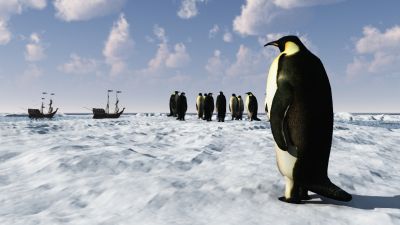 Cliquer pour voir l'image en taille réelle