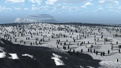 Cliquer pour voir l'image en taille réelle
