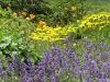 Nom du fichier=jardin_alpin_(8).jpg
Taille du fichier=251Ko
Dimensions : 1024x768
Ajouté le : 10 Juillet 2006 jardin_alpin_(8).jpg
