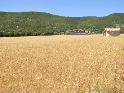 Cliquer pour voir l'image en taille réelle