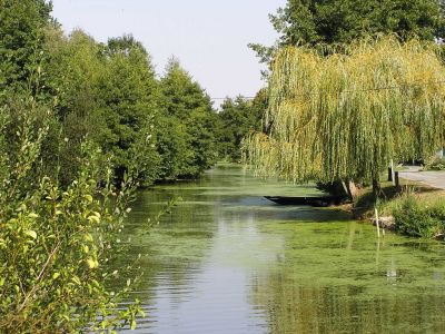Cliquer pour voir l'image en taille réelle