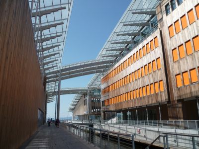 Cliquer pour voir l'image en taille réelle